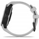 Смарт-часы Garmin Instinct 2S Solar Mist Gray (010-02564-01/11)