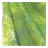 Фон тканинний Weifeng W-089 2.6x3 м зелений