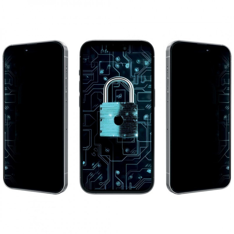 Защитное стекло Proove Privacy для iPhone 14 Pro/15/16 Black (PGPPRI14P001)