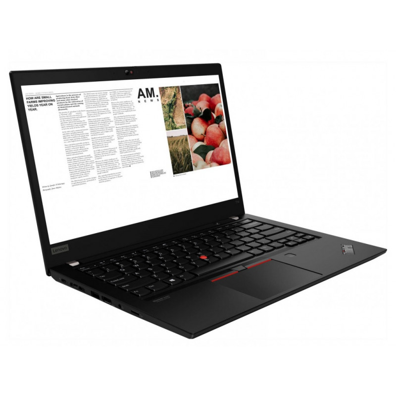 Ноутбук Lenovo ThinkPad T14 Gen 2 (20W0009RRA) Black