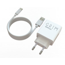 Сетевое зарядное устройство Grim Quick Pro CQP0119T Travel Charger+Type C