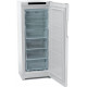 Морозильная камера INDESIT DFZ4150