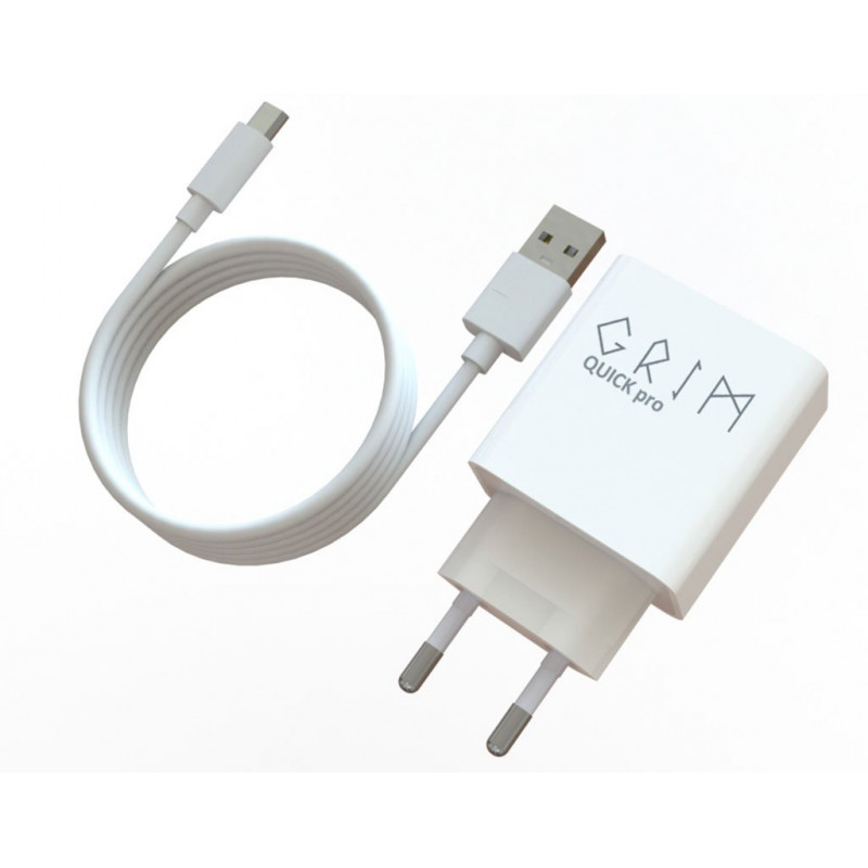 Сетевое зарядное устройство Grim Quick Pro CQP0119T Travel Charger+Micro USB
