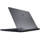 Ноутбук MSI 15.6" GE66-11UG Raider (GE6611UG-635UA) Grey