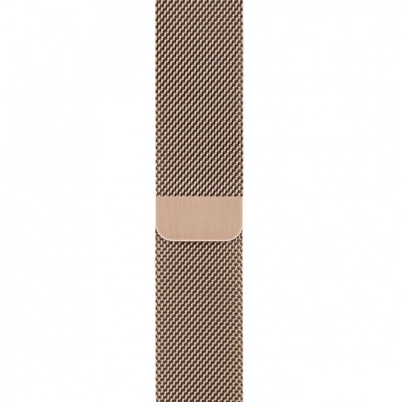 Смарт-часы Apple Watch Series 5 GPS+LTE 44mm Gold Stainless Steel Case with Gold Milanese Loop (MWW62, MWWJ2)