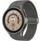 Смарт-часы Samsung Galaxy Watch 5 Pro 45mm Gray (SM-R920NZTASEK)