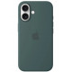 Чохол Apple Silicone MagSafe для Apple iPhone 16 Lake Green (MYY83ZM/A)